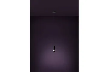 Takpendel Eglo Bernabeta Svart - Products - Belysning - Lampor & belysning inomhus - Taklampa & takbelysning - Pendellampa & hänglampa