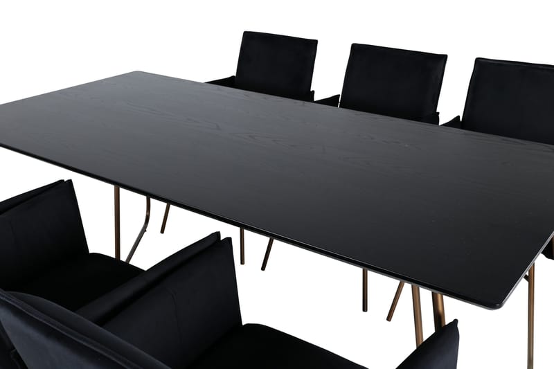 Petra Matgrupp 190 cm Rektangulär med 6 Petra stolar - Svart - Products - Möbler - Bord & matgrupp - Matgrupp