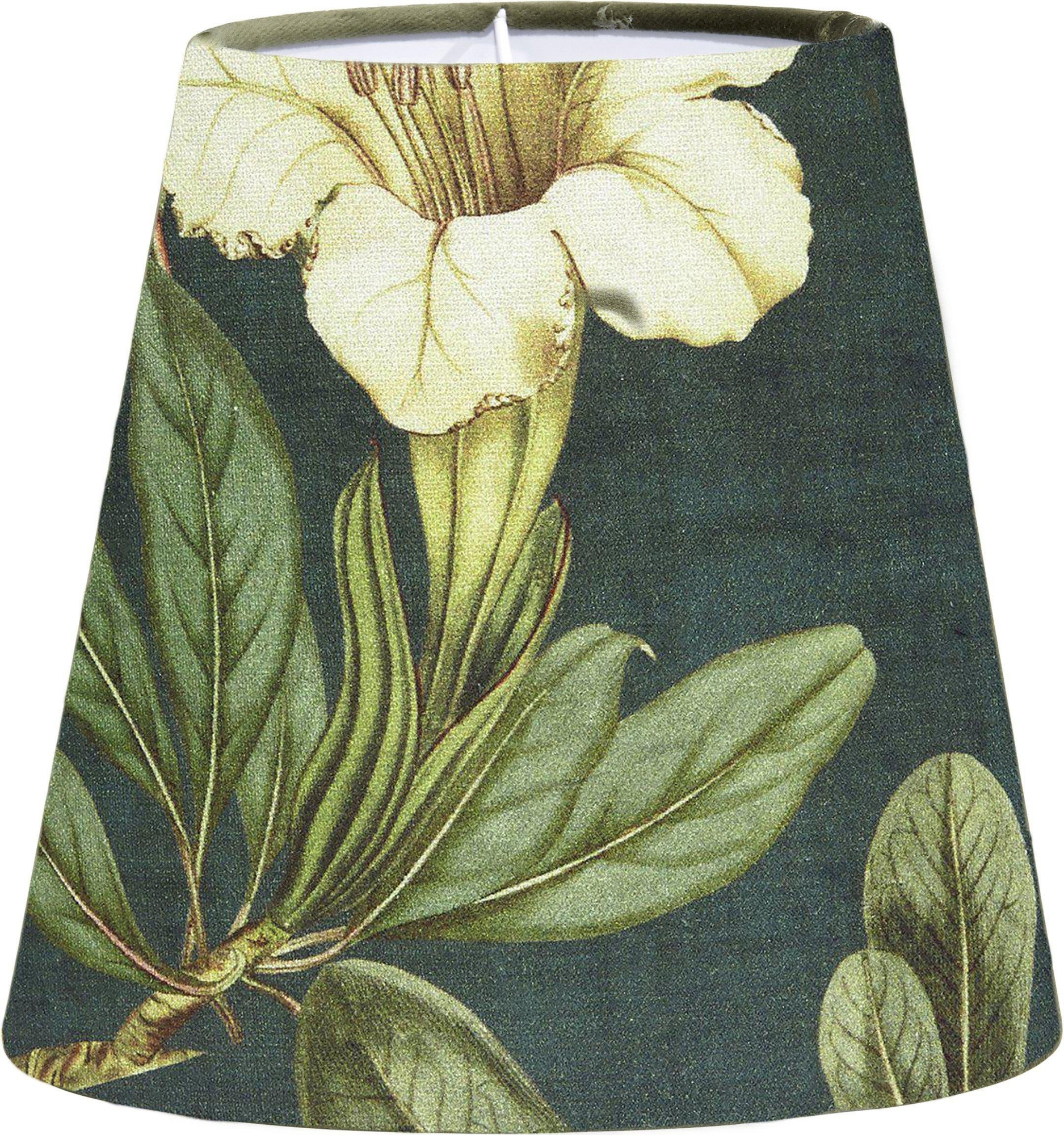 Cia Botany topringkap - Groen - 20 cm