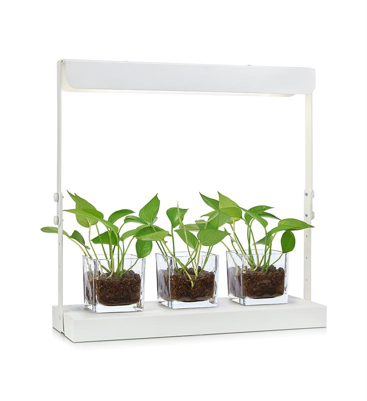 Harvest Bordslampa - Vit