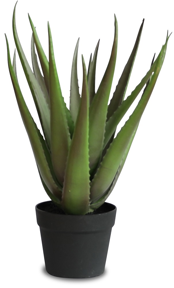 Sunday konstväxt 50 cm - Alovera Sunday konstväxt 50 cm - Alovera