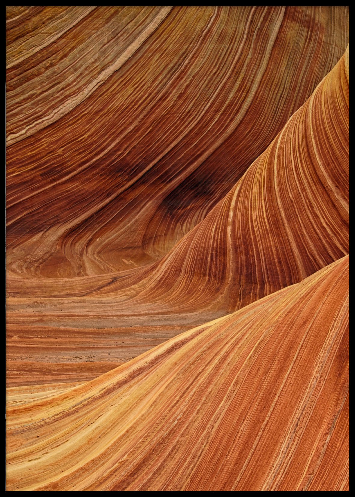 FORMS - Poster 50x70 cm