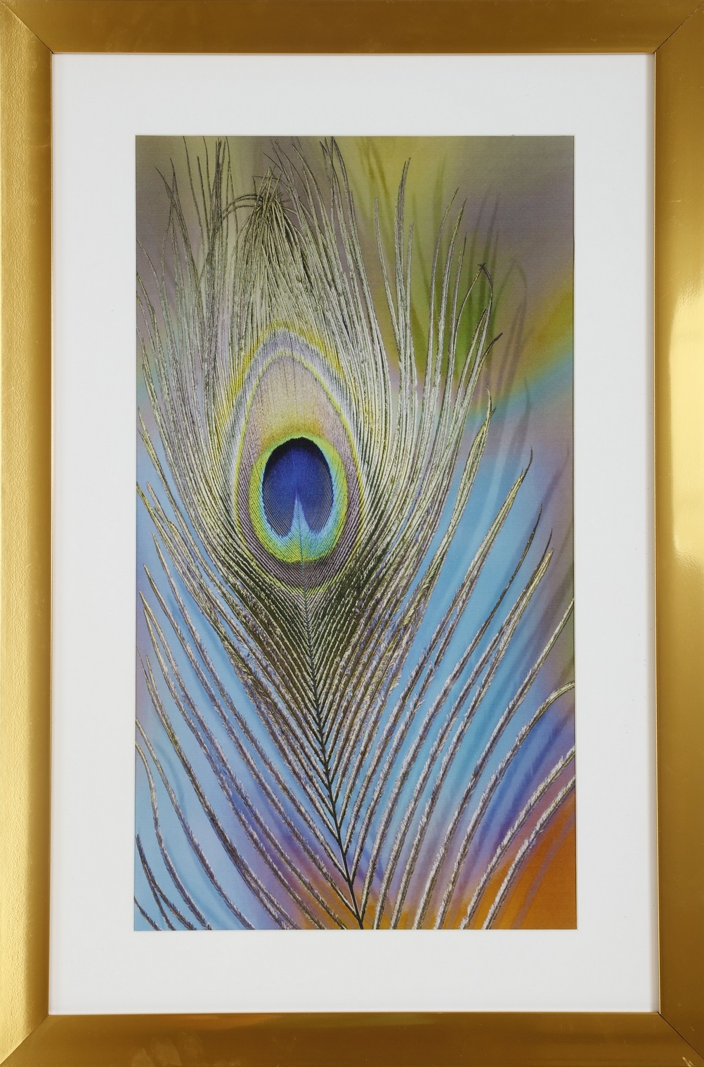 Tavla med guldig ram (Påfågel) - 40x60 Tavla med guldig ram (Påfågel) - 40x60