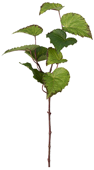 Rexbegonia kunstplant