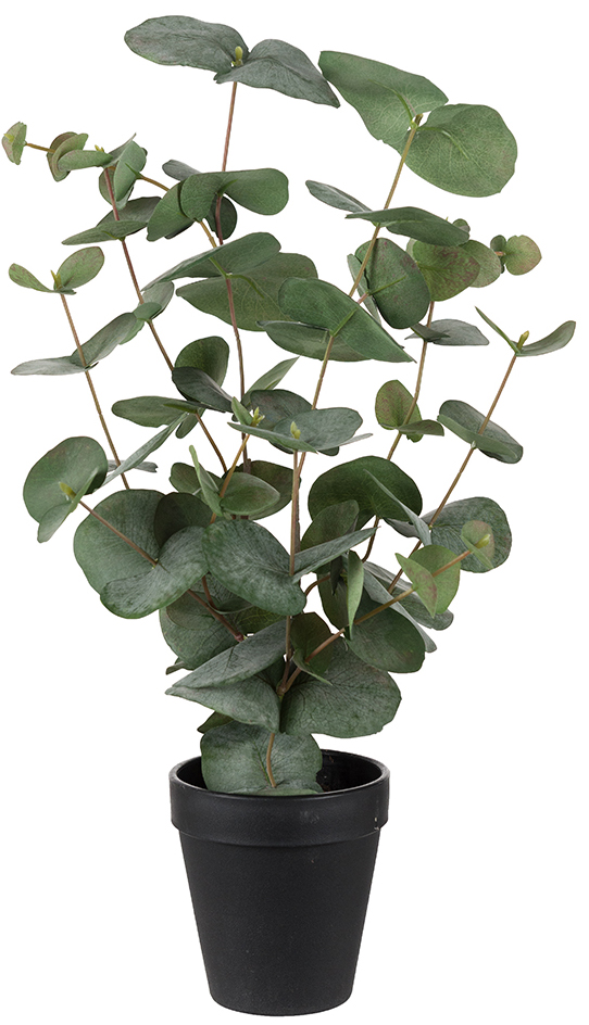 Eucalyptus kunstplant