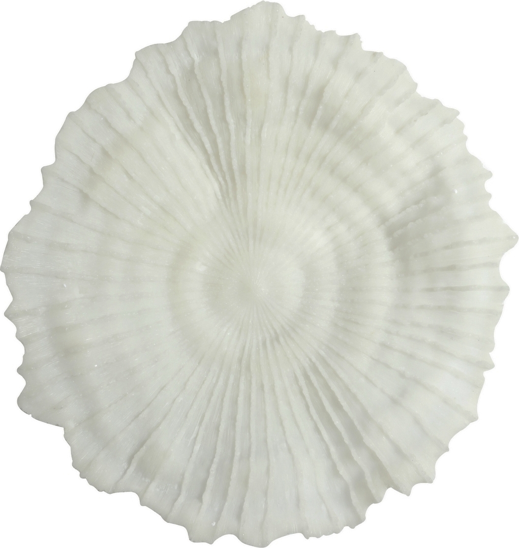 Korall v�ggdekoration D 56 cm - Ljus