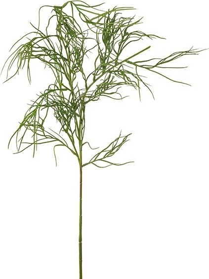 Grevillea konstv�xt