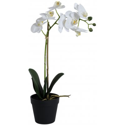 Konstvxt - Orkid 1 stnglad H48 cm - Vit
