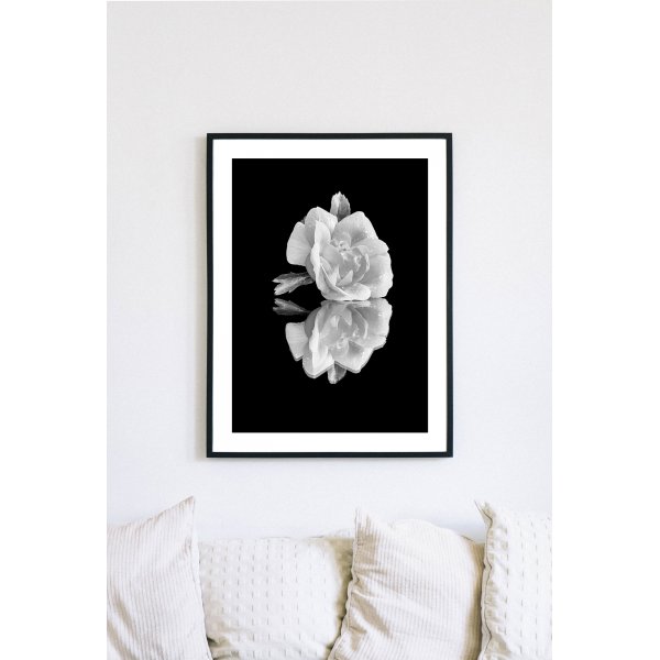 Posterworld - Motiv White Rose - 70 x 100 cm Posterworld - Motiv White Rose - 70 x 100 cm