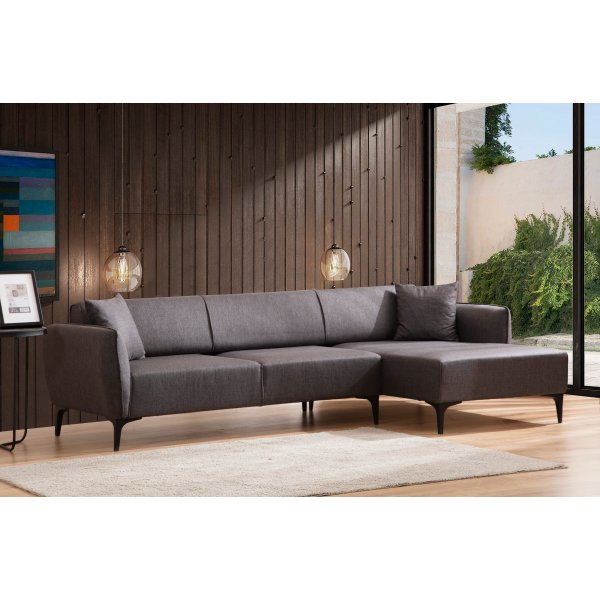 Canapé divan Belissimo - Gris foncé Canapé divan Belissimo - Gris foncé