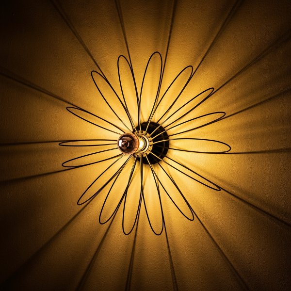 Heddy wandlamp - Zwart