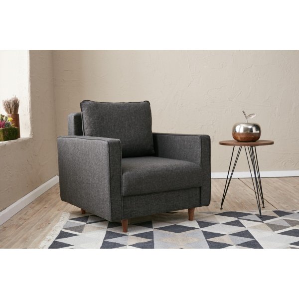 Eca fauteuil - Antraciet + Textielreiniging voor meubels Eca fauteuil - Antraciet + Textielreiniging voor meubels