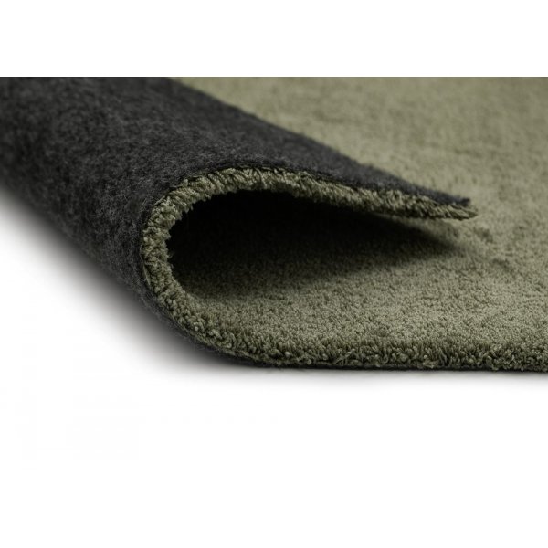 Ryamatta Dorsey - Vert