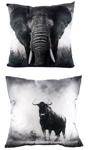 Kudde African Animals - osorterade motiv