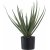 Plante artificielle Aloe Vera - H:51 cm - Vert