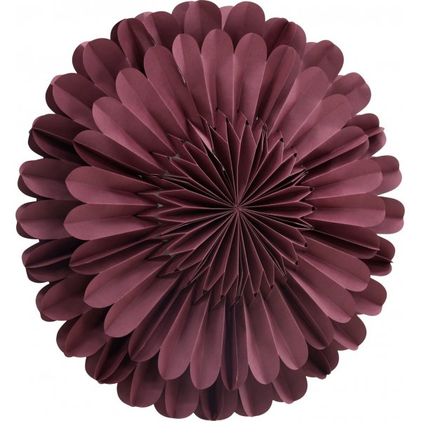 Jrvsn adventsstjrna - Mrkrd/Vit