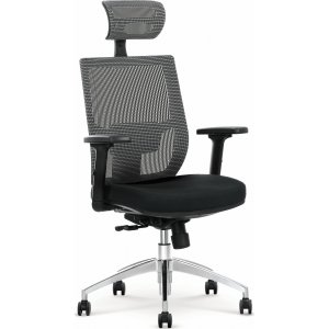 Chaise de bureau Dionne 2 - Noir/gris