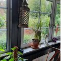 Kundbild Rusty hängande vägglampa - Antikt utförande: Lampan på vår veranda.