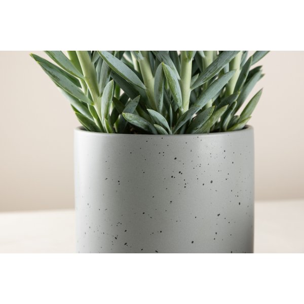 Pot Sane 18 x 17 cm - Gris foncé/Noir Pot Sane 18 x 17 cm - Gris foncé/Noir