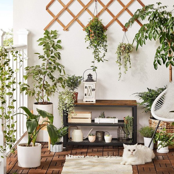 tagre  chaussures Lasse 73 cm - Marron/noir