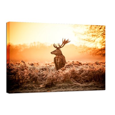 Canvastavla Deer in Sunrise