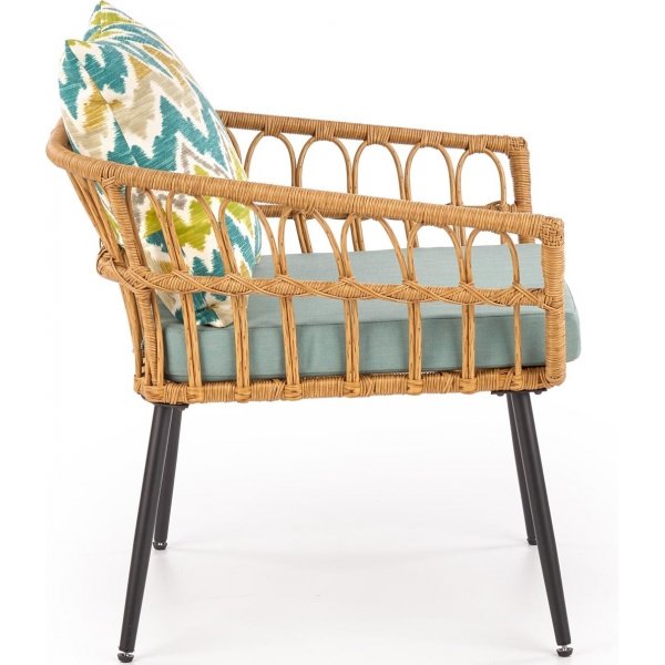 Ulm fauteuil - Rotan + Vlekverwijderaar voor meubels