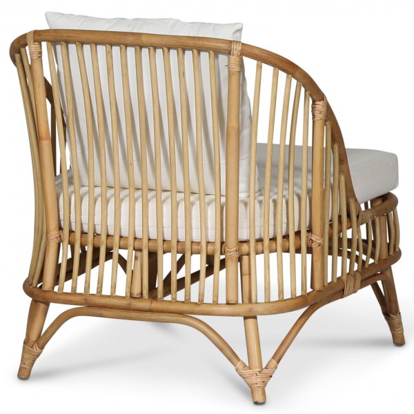 Baboo ftlj i rotting med dyna - Natur