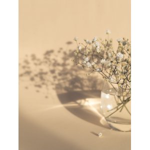 Poster - white flowers