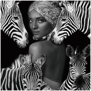 Glastavla - Zebra Queen - 120x120 cm - Glastavlor, Tavlor, Väggdekor