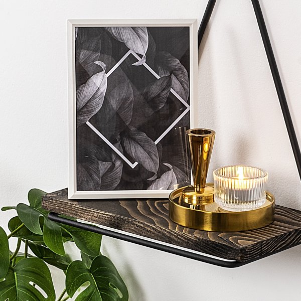 Begonia v�gghylla - Svart/natur