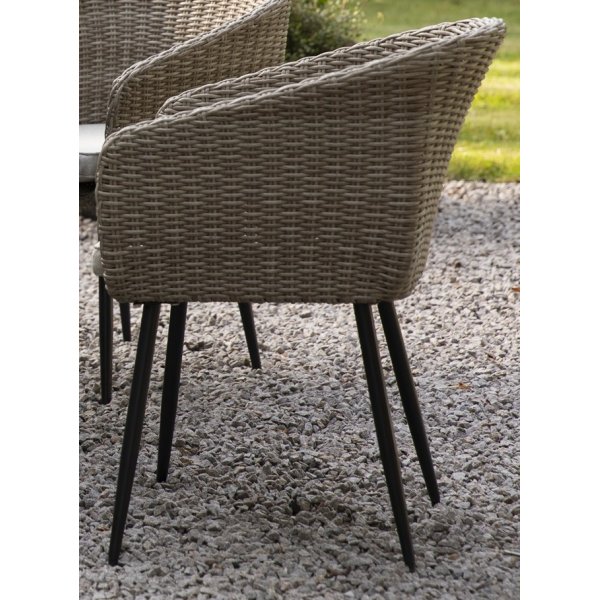 Trdgrdsstol - Aster | naturfrgad konstrotting