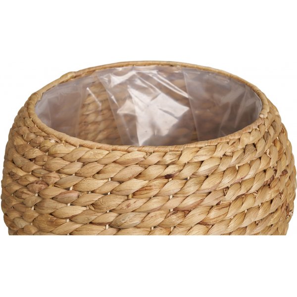 Denia korg - Natur Denia korg - Natur