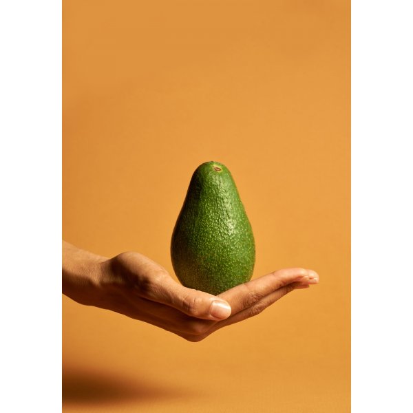 Affiche - Avocado