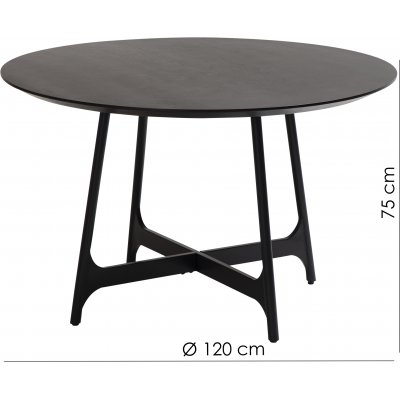 Ooid matbord 120 cm - Svartbetsad askfanr/svart