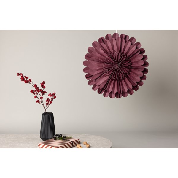 Jrvsn adventsstjrna - Mrkrd/Vit