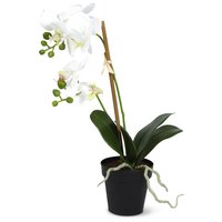 Konstväxt - Orkidè H60 cm Konstväxt - Orkidè H60 cm