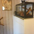 Installation med skoläster ovanpå Oslo skoskåp i trång hall. Oslo skoskåp - vit