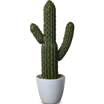 Konstvxt - Kaktus H38 cm