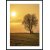 Posterworld - Motiv Lonely Tree - 50x70 cm