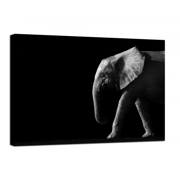Canvastavla Elephant Black