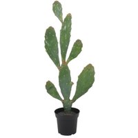 Konstväxt - Verde Kaktus 92 cm Konstväxt - Verde Kaktus 92 cm