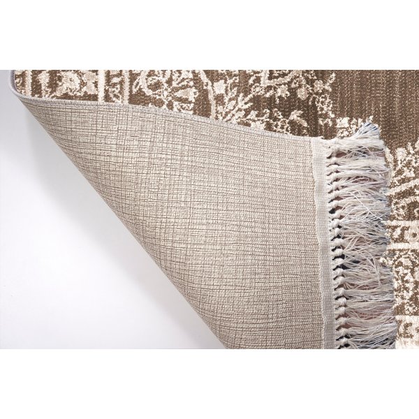 Cassus matta Cassus matta