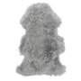 Frizzy lnghrigt frskinn Ljusgr