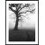 Posterworld - Motiv Dark Tree - 70 x 100 cm
