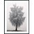 Posterworld - Motiv Frosty tree - 50x70 cm