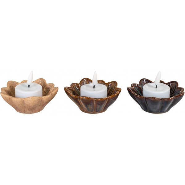 Bols nordiques House - Beige/Marron/Marron fonc