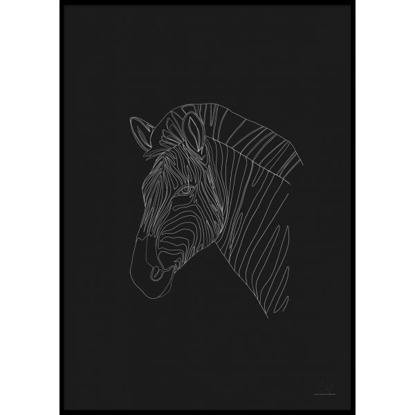 ZEBRA - Poster 50x70 cm