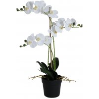 Konstväxt - Orkidé 3 stänglad H64 cm - Vit Konstväxt - Orkidé 3 stänglad H64 cm - Vit