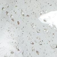 Pied de lampe Groove - Verre clair - 30 cm Pied de lampe Groove - Verre clair - 30 cm