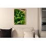 Affiche - Groen blad